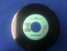 THE WILD THINGS ACID/NEVER AGAIN ON BLUE ONION 45 RPM 7