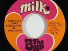 American Dairy Association 