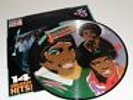 Vintage Michael Jackson Collectors Edition Vinyl Record Picture Disc LP 12”