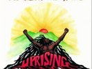Bob Marley and The Wailers-Uprising Vinyl / 12