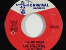 Lee Williams 