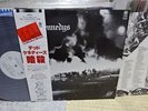 Dead Kennedys / Fresh Fruit For Rotting Vegetables, Japan LP, Promo White,V.Rare