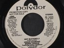 GREGG DIAMOND BIONIC BOOGIE: Hot Butterfly / Short 45 (dj, 70s Modern Soul)