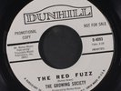 GROWING SOCIETY: The Red Fuzz / Just For Fun 45 (dj) Rock & Pop
