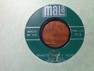 ROCKABILLY 45 / DAVID GATES / YOU'LL BE MY BABY / THIS I HEAR / MALA 413 / VG+