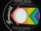Young-Holt Unlimited 