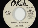 Ted Taylor 
