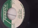 ROLAND ALFONSO  VC10 SHAKE A LADY // SNAKE IN THE GRASS