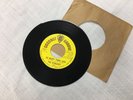 RARE MICHIGAN GARAGE PSYCH 45-THE DYNASTY-1968 COCONUT GROOVE #2038 NR MINT