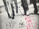 SONIC YOUTH: Daydream Nation (Double LP with autographed poster)
