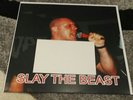 ISD - Slay The Beast  Lp  Oi  Skinhead Rebelles ror