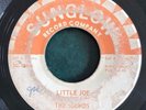 THE SOUNDS Little Joe 45 on Sunglow 136 Texas soul/mod garage HEAR
