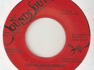 THE TAMS This Precious Moment SOUNDS SOUTH  NORTHERN SOUL 45