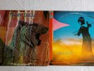 Amon Duul II Yeti and Wolf City Vinyl LP