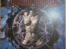 Vinyl-2-LP Dimmu Borgir-Puritanical Euphoric Misanthropia (FOC splatter Sammler)