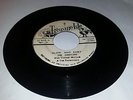 TREASURE ISLE/SLOW & EASY - THE JAMAICANS/TOMMY MCCOOK [R/STEADY] 7