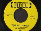 HESITATIONS: Wild Little Willie / Remember 45 (  very rare record)