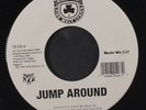 HOUSE OF PAIN: Jump Around / Same 45 Rap/Hip-Hop