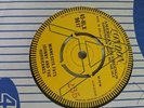 Johnny and the hurricanes Demo 45