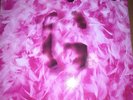 Garbage 2LP Garbage 1st Edition 1995