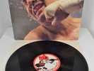 1981 THE PROFESSIONALS SEX PISTOLS I DIDN'T SEE IT COMING ALBUM VINYL RECORD