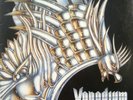 VANADIUM 