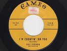 '57 Rocker/Teen RAY VERNON I'm Countin' On You/Terry CAMEO 115 M- HEAR BOTH