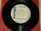 BLUES 45 RPM RECORD - MUDDY WATERS - CHESS 1819 - PROMO