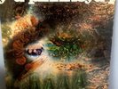 Pink Floyd A Saucerful Of Secrets vinyl LP 1968 1st UK Mono Columbia SX 6258