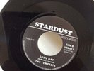 The Tempests Someday / I Cried For You
