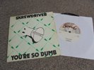 RARE  PUNK  (  YOUR SO DUMB /   BETTER OFF CRAZY  )   RARE / SINGLE