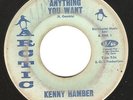 Northern Soul 45 KENNY HAMBER 