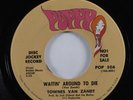 Psych Folk 45 TOWNES VAN ZANDT Waitin' Around To Die POPPY VG++ promo HEAR