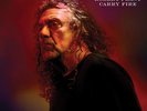 ROBERT PLANT CARRY FIRE 2 X 12