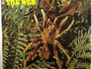 The Web  Deram SML1058  Theraphosa Blondi  Original UK Release Jazz Rock Psych