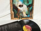 LP – PARADISE LOST / SHADES OF GOD  / MFN135 / NM