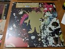 Pink Floyd Piper at the Gates of Dawn New Sealed 180g Vinyl RSD MONO + Poster