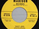 HEAR IT 50's Novelty 45 rpm record The Wild Tones 