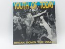 Youth Of Today Break Down The Walls LP 1988 hardcore NYHC Agnostic Front Judge