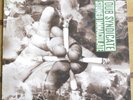 Dub Syndicate - Stoned Immaculate - vinyl LP, promo with press release