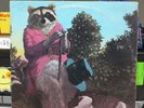 J.J. Cale - Naturally - Vinyl LP SR-2122