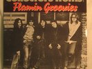 CRANIUM'S The Flamin Groovies TEENAGE HEAD/FLAMINGO German 2 Lp NM flaming