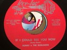 Texas Soul 45 SUNNY & SUNLINERS Should I Take You Home / If I Could See You VG+