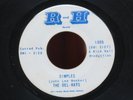 45 RPM THE DEL-RAYS (DIMPLES B/W FORTURN TELLER )