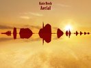 Kate Bush - Aerial 2018 REMASTER 2-Vinyl LP new/sealed PRE-ORDER 30/11