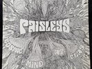 The Paisleys - Cosmic Mind At Play - 1970 - STEREO - Vinyl - LP - Original