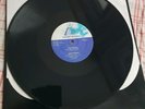 JESSIE ROGERS 12 INCH VINYL  ONE MONKEY DON'T STOP NO SHOW  US1983 VG+