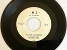 WLP DJ ROCK 45 / BEATLES / Please Please Me / From Me To You / VJ 581 / PROMO
