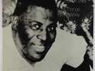 Howlin' Wolf - Change My Way LP - Chess Vintage Series VG+