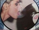BLONDIE PARALLEL LINES PICTURE DISC VINYL ALBUM 1978 CHRYSALIS MADE IN USA